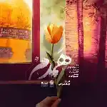 دانلود آهنگ همدم از محمد اصفهانی